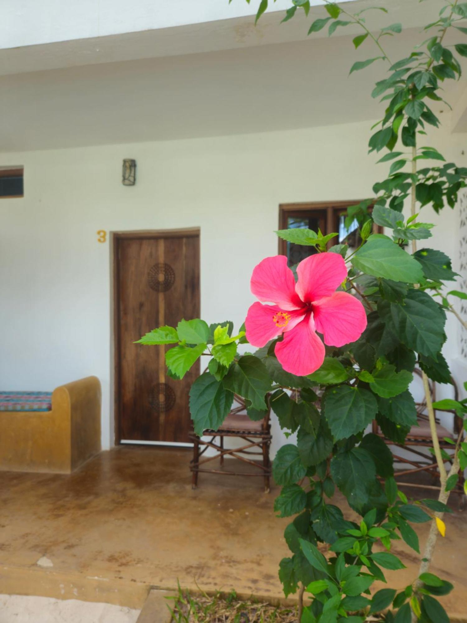 Bed and Breakfast Kiganja Matemwe  Esterno foto